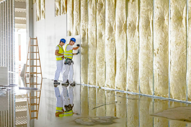 Insulation Inspection Services in Marion, KS